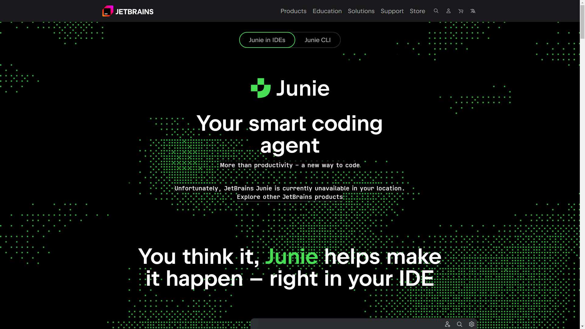 Junie 界面预览